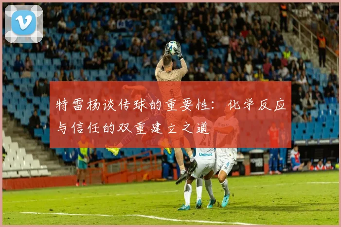 特雷杨谈传球的重要性：化学反应与信任的双重建立之道