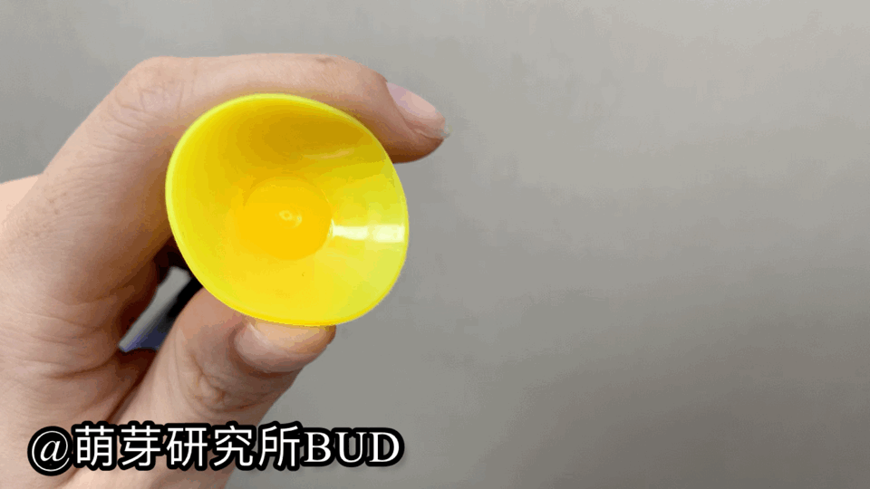 娃一定没玩过这些体育用品室内户外皆适用春季带孩子去踏青吧！kaiyun官网(图20)