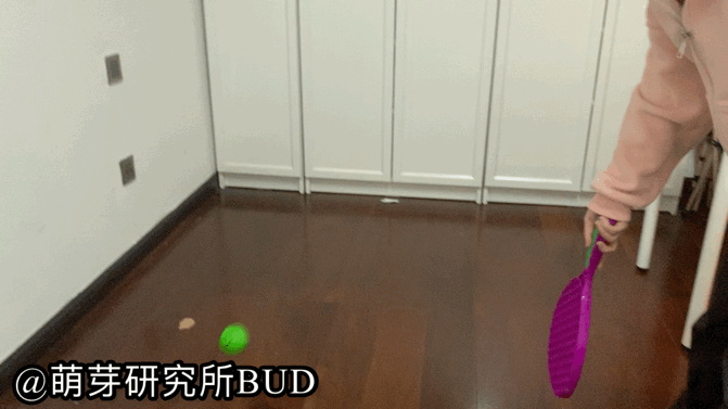 娃一定没玩过这些体育用品室内户外皆适用春季带孩子去踏青吧！kaiyun官网(图24)